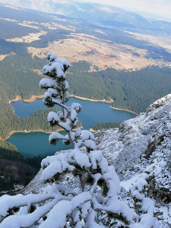 Apartments Snowflake Zabljak  Luaran gambar